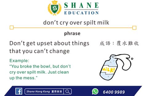 Dont Cry Over Spilt Milk Shane Hk