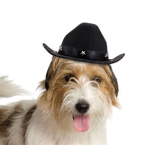 Pet Dog Cowboy Hat Funny Costumes Western Holiday Party Outfit Cap