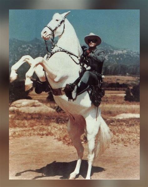 Pin By Karen Carter On Movie Horses Lone Ranger Horses Ranger