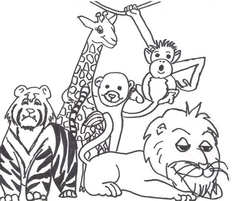 Zoo Cartoon Drawing At Getdrawings Free Download