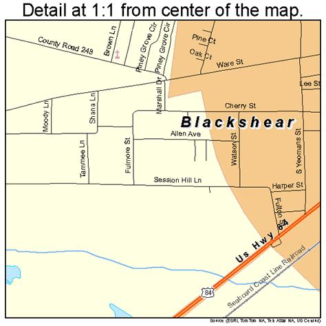 Blackshear Georgia Street Map 1308284