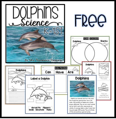 Free Dolphin Science For K 1st Dolphin Lessons Science Activities