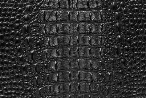 120 Black Crocodile Leather Texture Stock Photos Pictures And Royalty