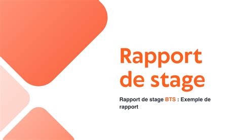 Rapport De Stage Bts Comment Le Faire Exemples