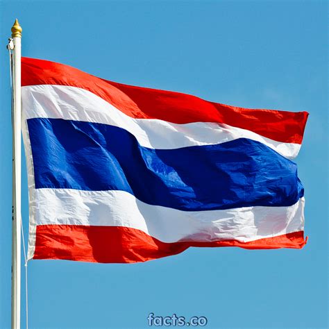 The national flag of thailand features five horizontal bands of red (top), white, blue (double width), white, and red. Thailand Mourns Beloved King Bhumibol Adulyadej