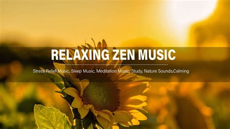 Relaxing Zen Music Stress Relief Music Sleep Music Meditation Music