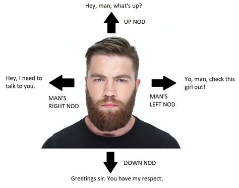 Universal Guide To Men S Nodding Made In Paint R Memes