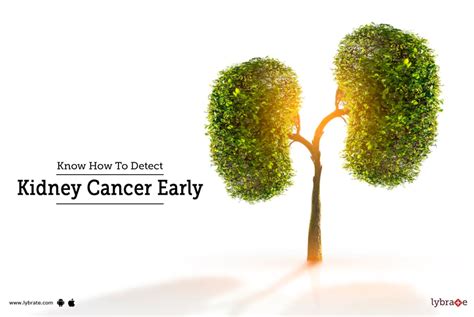 Know How To Detect Kidney Cancer Early By Dr Garima Lybrate