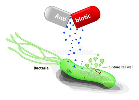Antibiotic Stock Vector Image 55785553
