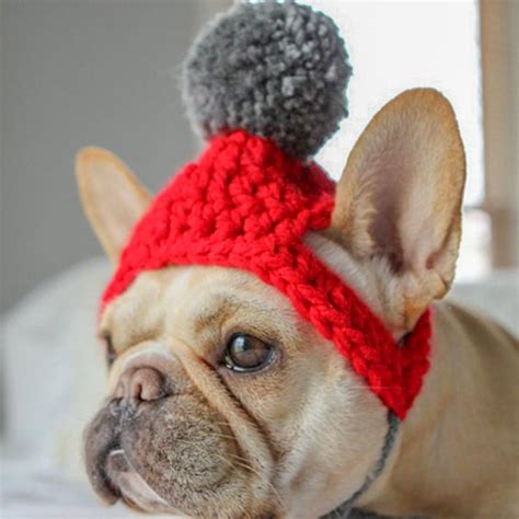 Dog Winter Knitted Hat For French Bulldogs Pom Pom Dog Hat 30 Off