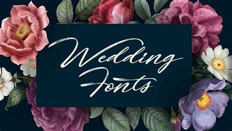 105 Best Wedding Fonts Free Premium 2024 Hyperpix