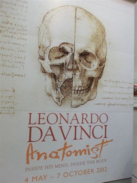 Leonardo Da Vinci Anatomist Exhibit Queens Gallery Flickr