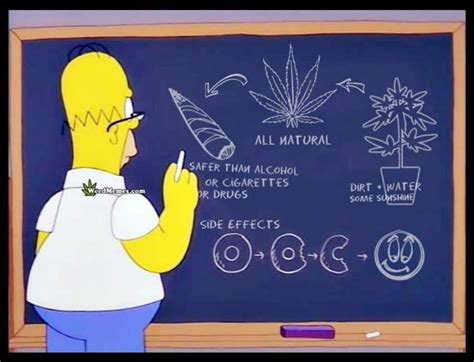 Homer Simpson Weed Memes Cannabis 101 Lesson