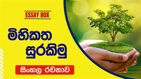 මිහිකත සුරකිමු සිංහල රචනාව 2023 678910 ශ්‍රේණි රචනා Lets Save