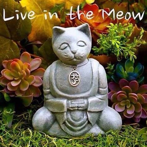 Pin By Mary Frances Mcgraw On Inspirational Cat Buddha Buddha Zen