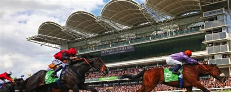 The July Festival At Newmarket High Stakes Excitement In A Classic