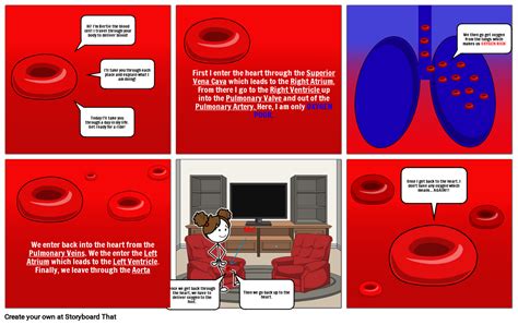 Journey Of Red Blood Cell Storyboard By Fedc9022