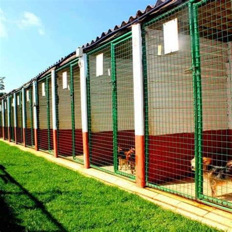 Pet courier services transports your pets anywhere across the uk or europe, we offer a pet delivery service using our sky kennels & our drivers have a defra. Boarding Facilities | Prestige Pet Services Animal Courier