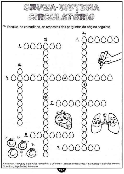 Questões Do Sistema Respiratório