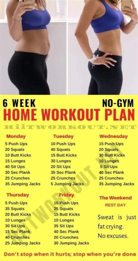 6 Week Workout Plan at Home in 2020 | 6 week workout plan ...