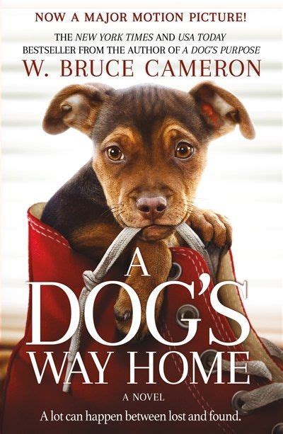 8 Absolute Must Read Books For Dog Lovers Artofit
