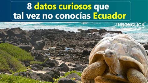 8 Datos Curiosos Que Tal Vez No Conoces De Ecuador Ic Inboxclick