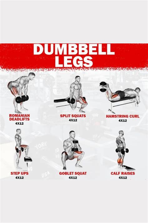 Dumbbell Legs Workout In 2023 Dumbbell Workout Dumbbell Leg Workout