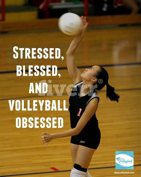 Stressed Blessed And Volleyball Obsessed And 75 Other Volleyball