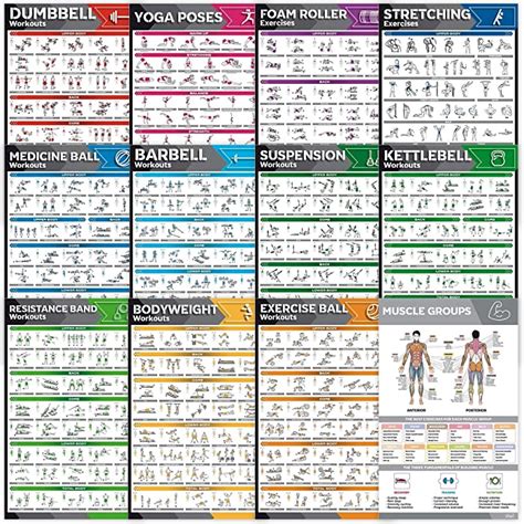Buy 12 Pack Laminated Large Workout Poster Set Perfect Workout