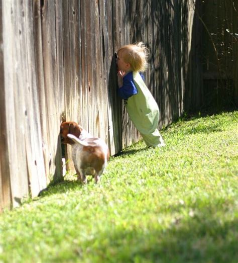 Bebés Jugando Con Cachorritos Te Llenarán De Ternura Animals For Kids