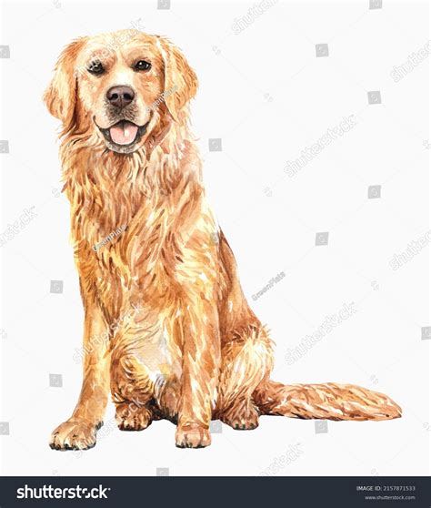759 Watercolor Dog Golden Retriever Images Stock Photos And Vectors