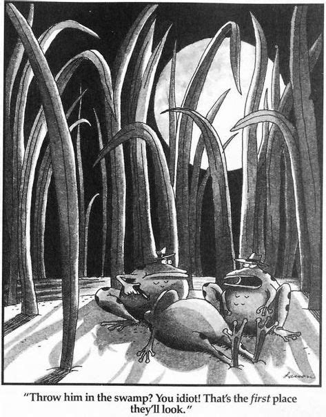 Image Result For The Far Side Frogs In The Desert The Far Side The