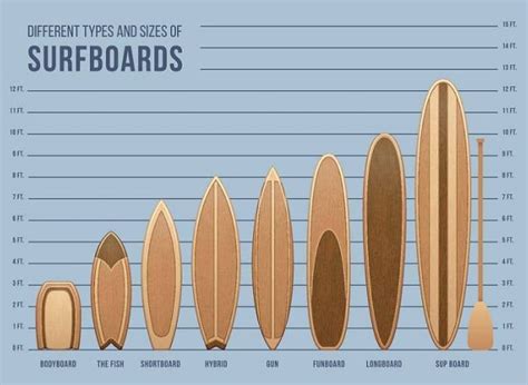 What Size Surfboard Should I Get A Comprehensive Guide From Experts