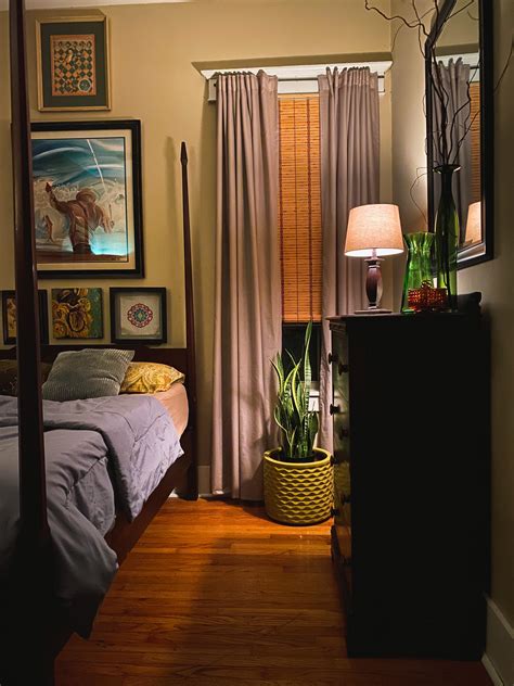 Maybe you would like to learn more about one of these? Got a new plant for my bedroom. Memphis, TN. : AmateurRoomPorn