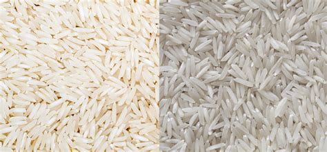 Difference Between Basmati And Non Basmati Rice Everything You Need To