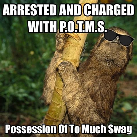 Swag Overload Sloth Meme Funny Sloth Meme Cute Sloth Pictures