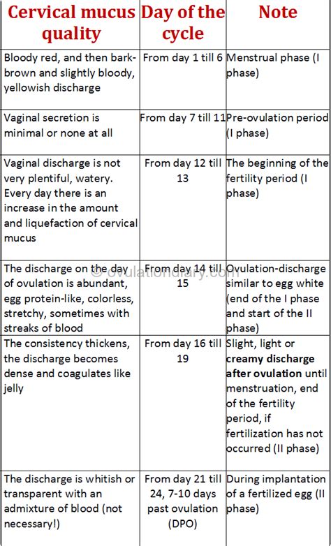 What Does Your Discharge Look Like When You Are Ovulating