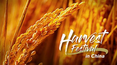 The evolution of China's harvest festival - CGTN