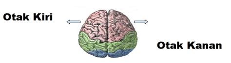 Berbicara tentang otak kiri dan kanan, ini bermula dari penemuan hebat roger w sperry di tahun 1960. Otak - Perbedaan