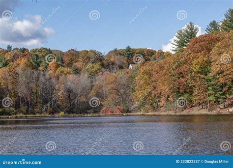 Fall Foliage At Colburn Pond In Barrett Park Stock Image Image Of