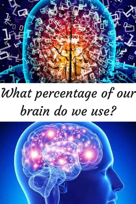 What Percentage Of Our Brains Do We Use Brainlyfe