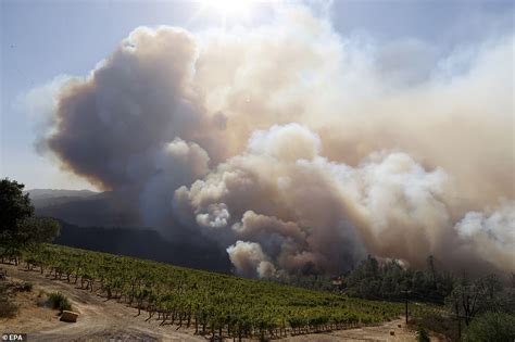 Famed Napa Valley Winery Is Destroyed By The Glass Fire As 2 000 Are Ordered To Evacuate Daily