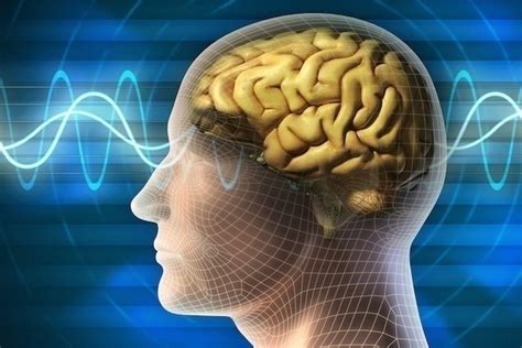 Anoxia Cerebral O Que é Sintomas E Tratamento Tua Saúde