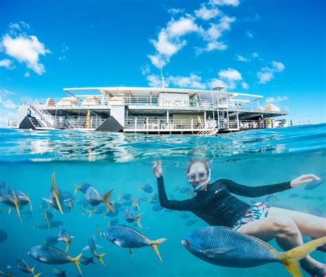 Great Barrier Reef And Whitsundays Day Tour Travel Playground