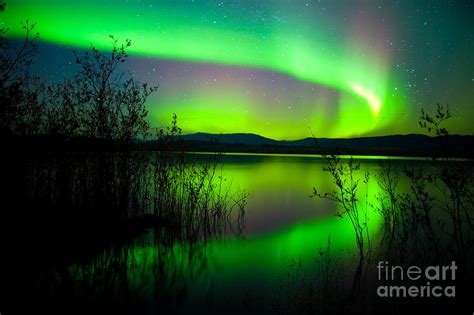 Northern Lights Mirrored On Lake Photograph By Stephan Pietzko Fine