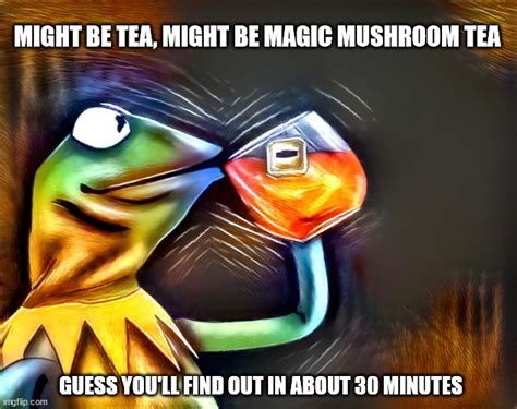 Kermit Drinking Some Sort Of Tea Imgflip