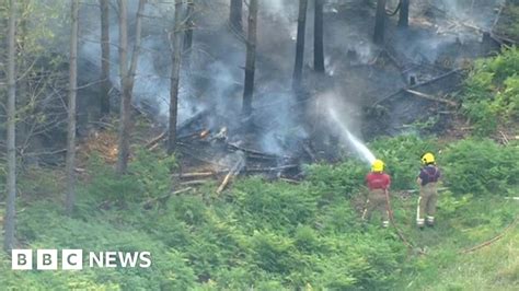 Firefighters Tackle Large Blaze At Thetford Forest Bbc News