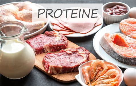 Proteine Che Cosa Sono A Cosa Servono E In Quali Alimenti Si Trovano