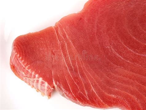 Fresh Tuna Stock Image Image Of Meal Japanese Fishing 12494333