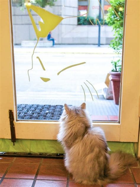 The Best Cat Cafes In Taipei The Birthplace Of Cat Cafe Culture